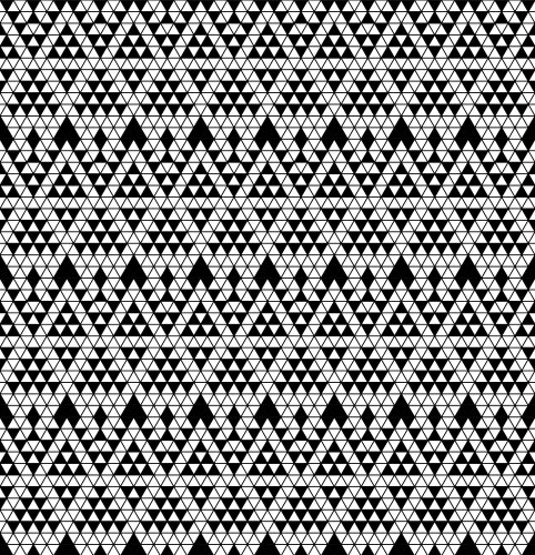 Tribal monochrome lace vector image