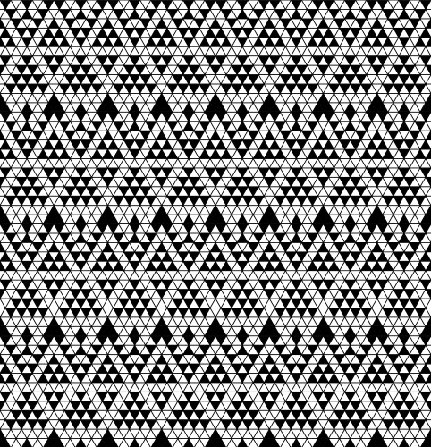 Tribal monochrome lace vector image