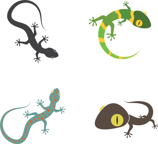 Gecko logo icon vector image