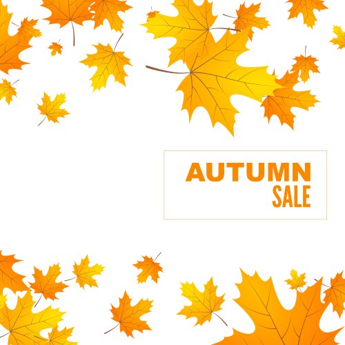 abstract autumn background vector image