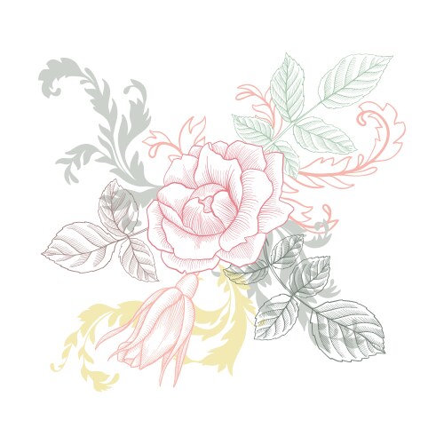 Elegant Floral Engraving Vector Image