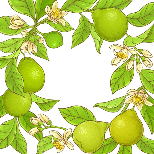 Linden frame Royalty Free Vector Image - VectorStock