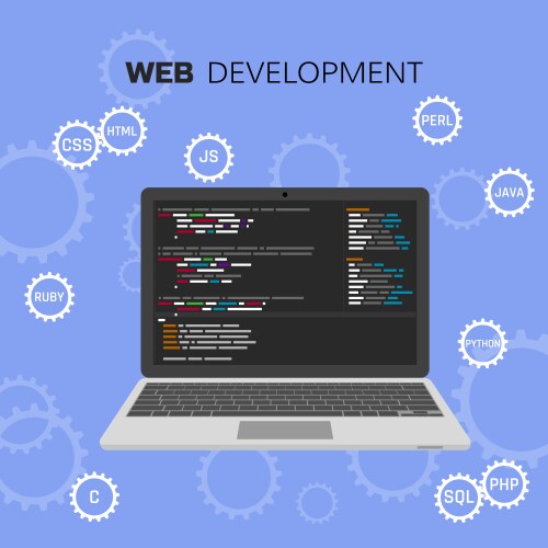 web development infographic programming vector