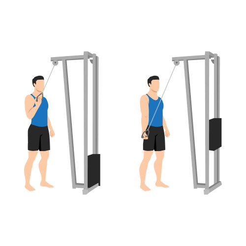 Man doing single arm cable triceps extension Vector Image