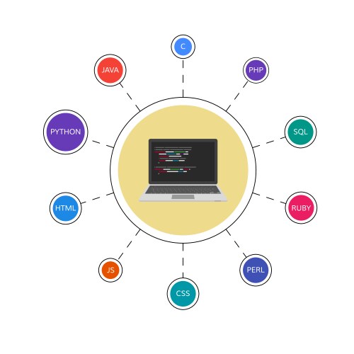 Web development infographic programming languages vector image