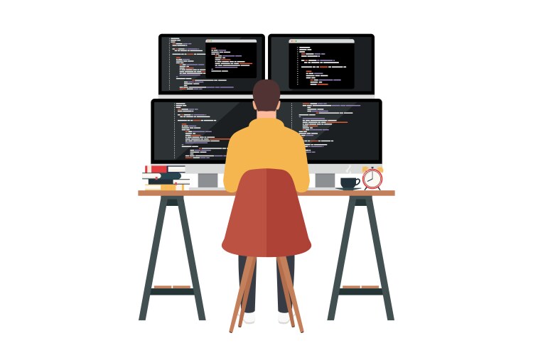 Programmer working writing code on computer vector image