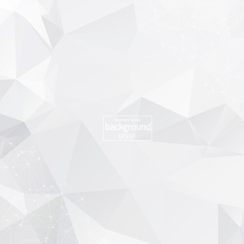White background with points lines and triangles vector image