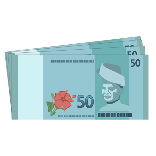 Malaysia currency banknote rm100 ringgit Vector Image