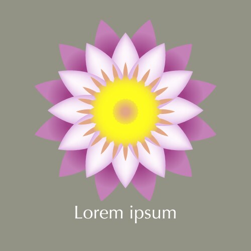 Lotus flower Vector Image