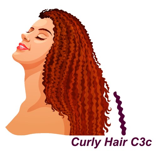 girl with luxury long curly brunette hairstyle vector image