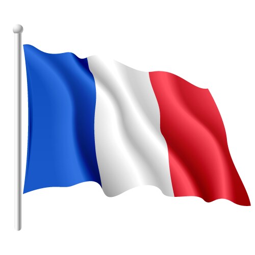 Flag of france vector image