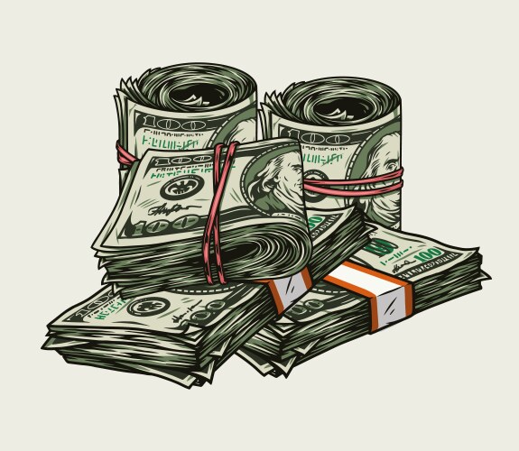 Colorful Money Stacks & Rolls Vector Image