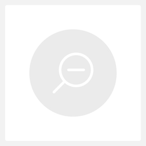 Inactive zoom out button ui element template vector image