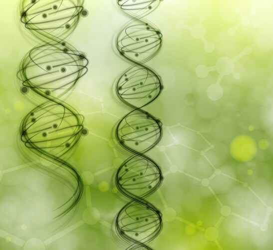 Dna strand molecule Royalty Free Vector Image - VectorStock