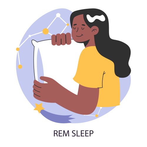 Rem or rapid eye movement sleep cycle stage Vector Image