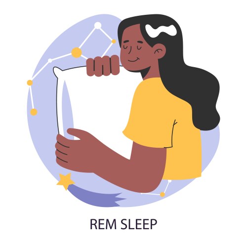 rem or rapid eye movement sleep cycle stage vector image