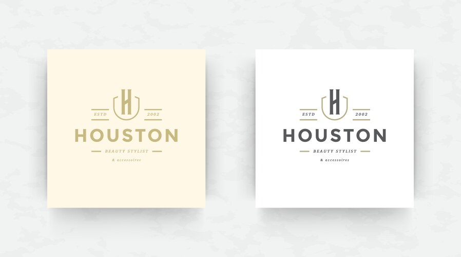 elegant luxury brand logo design template vector image