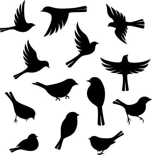 Birds silhouette collection Vector Image
