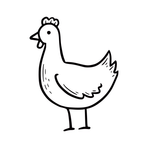 Cute Farm Chicken Doodle Vector Image