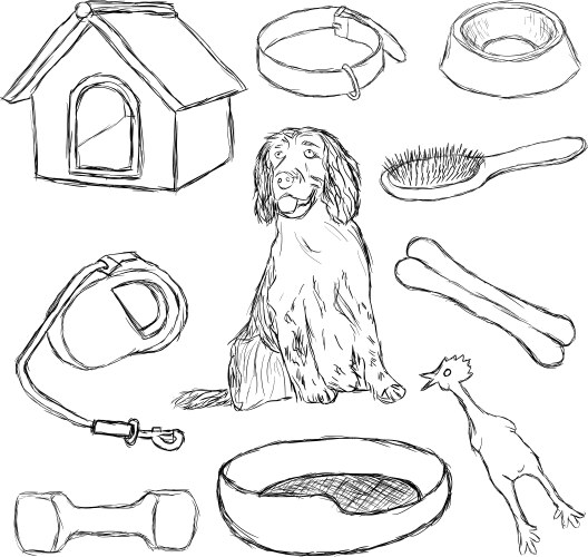 Dog Supplies Sketch Collection vector image