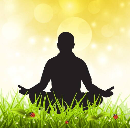 meditation vector image