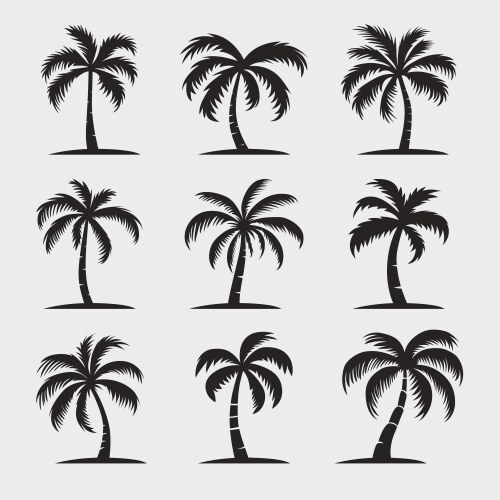 Palm trees Royalty Free Vector Image - VectorStock
