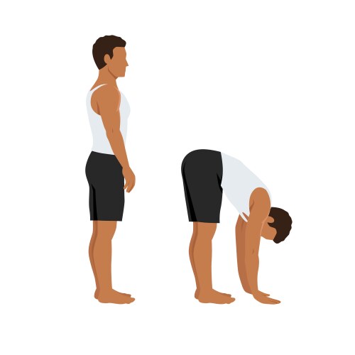 man doing standing toe reach stretch exercise vector image