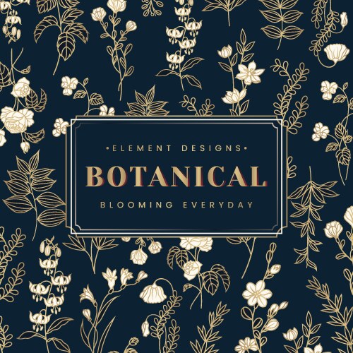Prinitial bo letters floral frames botanical Vector Image