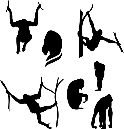 Monkey Silhouettes - Orangutan & Ape Vector Image
