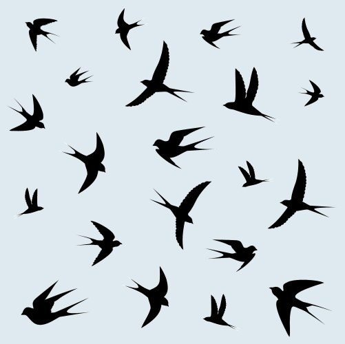 Swallows Flying in Blue Sky Vector Image