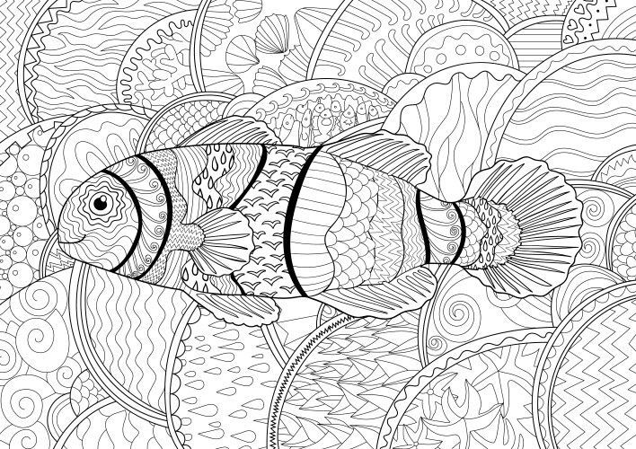Clownfish with high details Vector Image