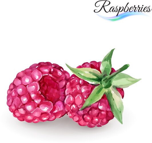 Raspberry Vector Images (over 31,000)