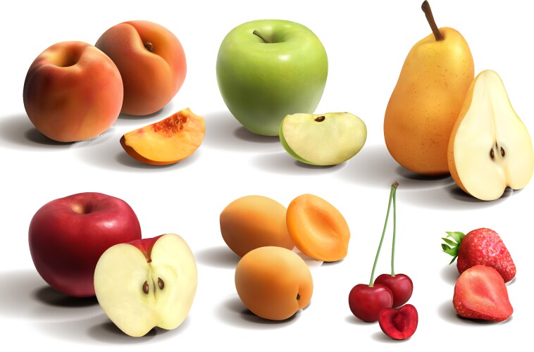 Realistic cut fruits isolated on white background Vector Image