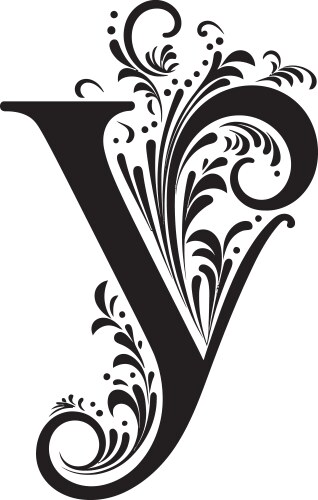 Yin yang patterns balanced font y yuletide vector image