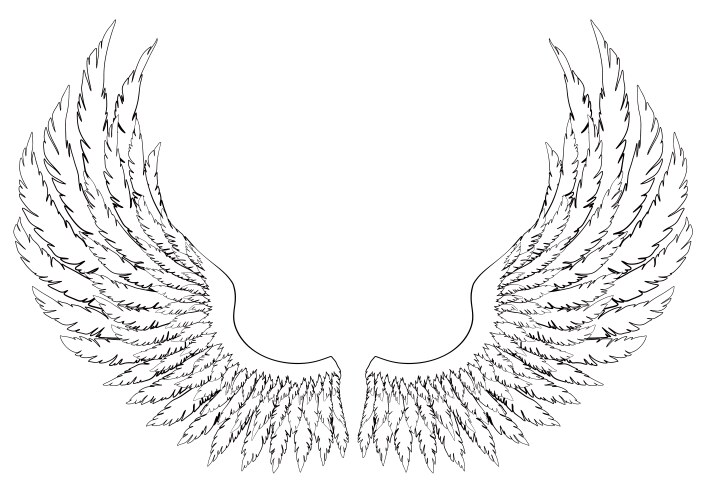 Black and white hand-drawn wings Vector Image
