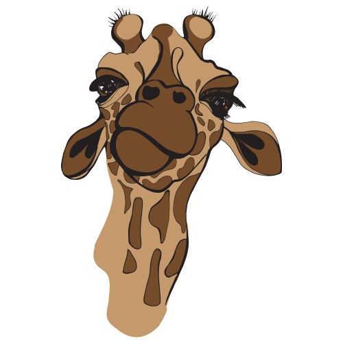 Giraffe head isolated on white african animal Vector Image