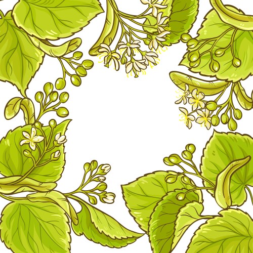 Linden frame Royalty Free Vector Image - VectorStock