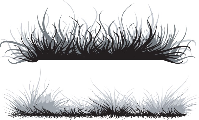 Grass vector image