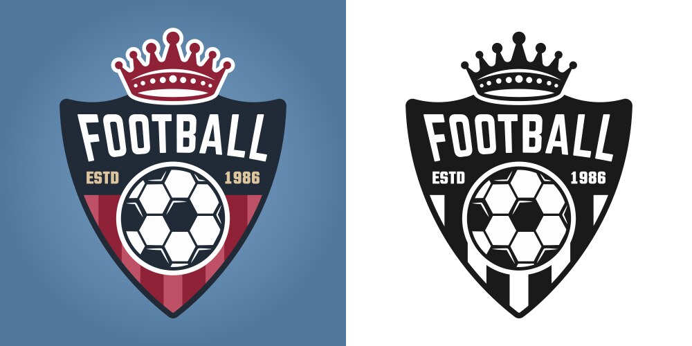 Soccer Shield - Two Styles Vector Image