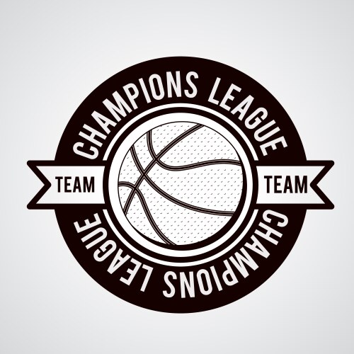 Basketball Sport Elements Vector Image