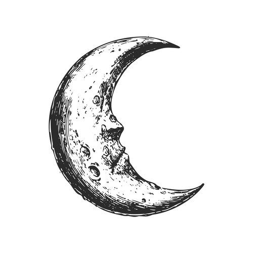 Detailed Crescent Moon Sketch Vector Image