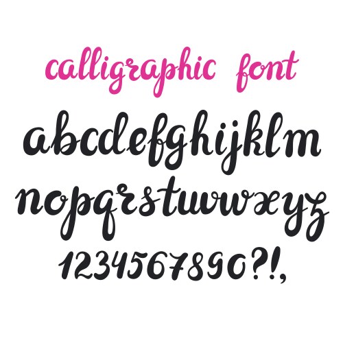 hand drawn brush pen calligraphy cursive font vector