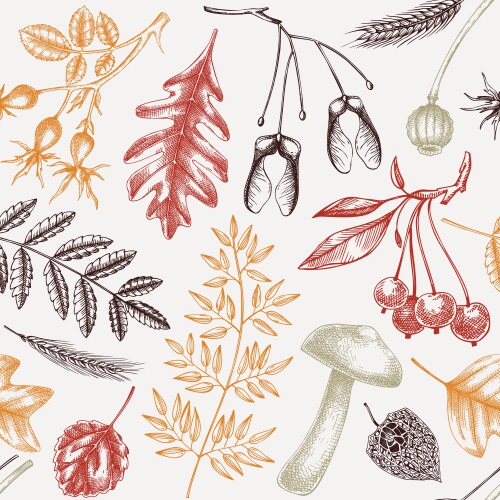 Hand drawn fall seamless pattern autumn botanical Vector Image