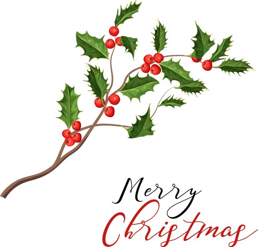 Holly & Mistletoe Christmas Vector Image