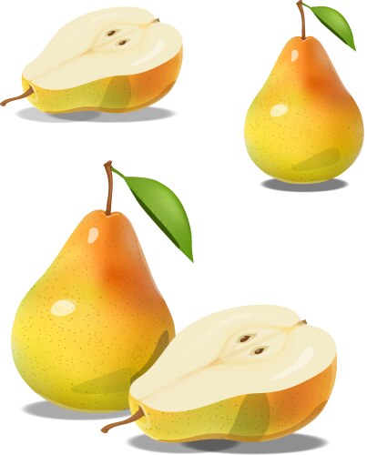 Yellow and green pear slice pears Royalty Free Vector Image