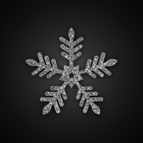 Silver glitter snowflake Royalty Free Vector Image