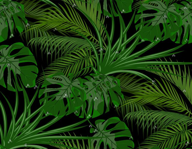 Tropical Palm Leaves Vector Image