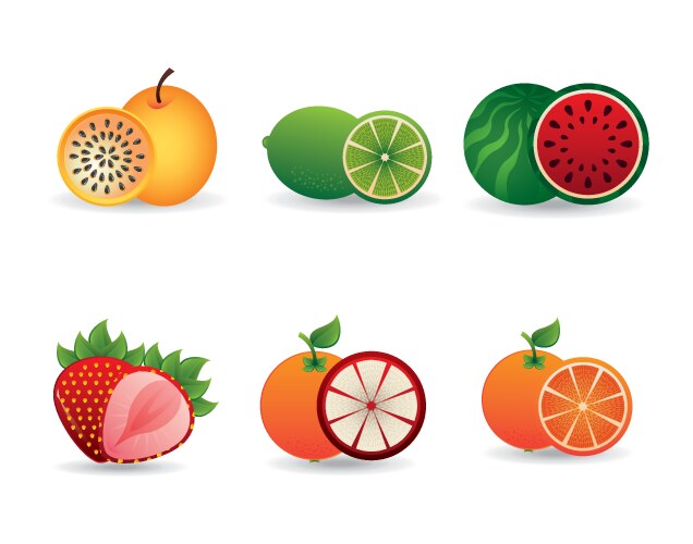 Citrus fruit set Royalty Free Vector Image - VectorStock