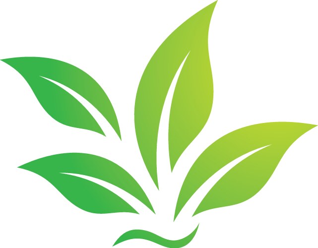 Three Green Leaves Logo – Royalty-Free Vector | VectorStock