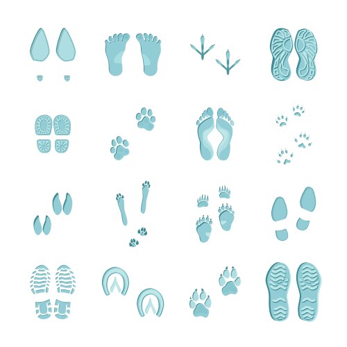 Rabbit Tracks Vector Images (over 1,000)